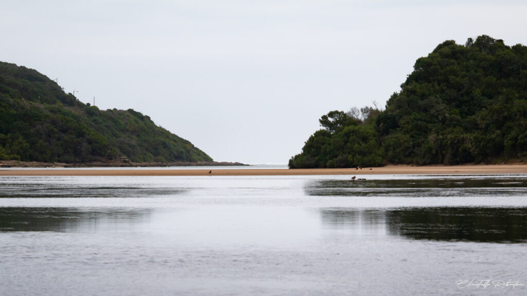 A tranquil estuary scene with calm water reflecting the cloudy sky. Two vegetation covered beach dunes frame a narrow sandy beach in the centre, with the open ocean visible in the distance.